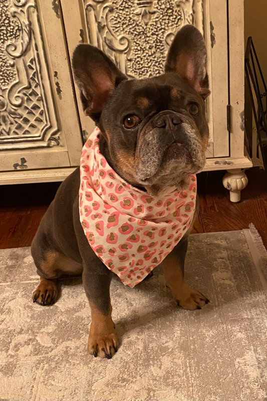 Doggie Bandana/Scarf - Pink Leopard Print - Large