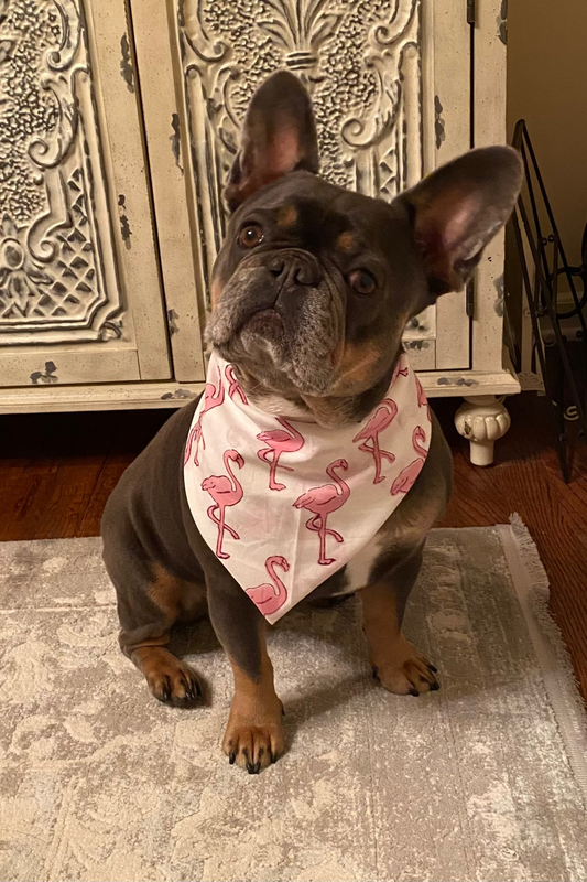 Doggie Bandana/Scarf - Pink Flamingo - Large