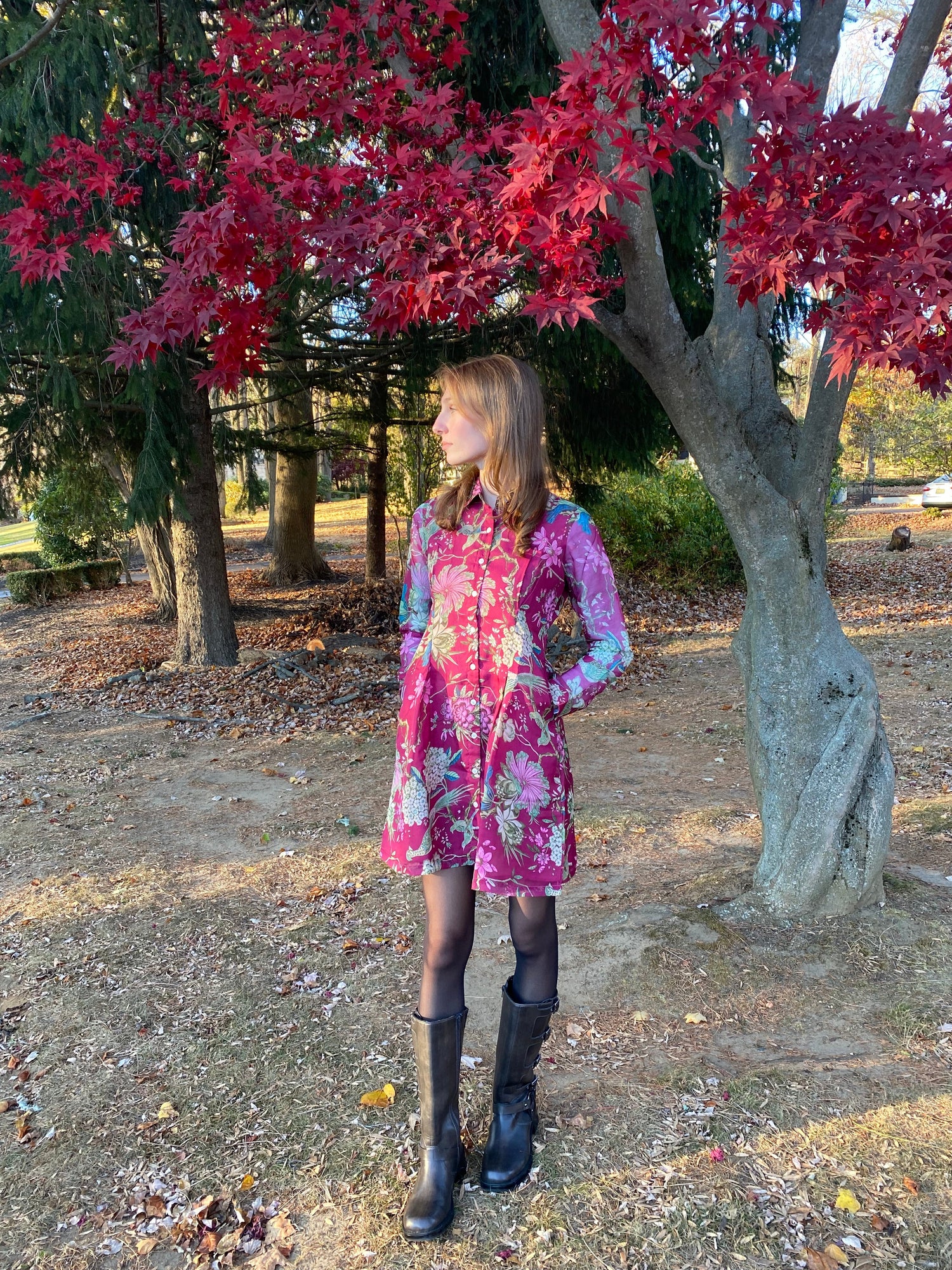 Fall Preview
